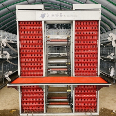 4 Tiers Chicken Egg Layer Battery Cage For Tanzania Poultry Farm