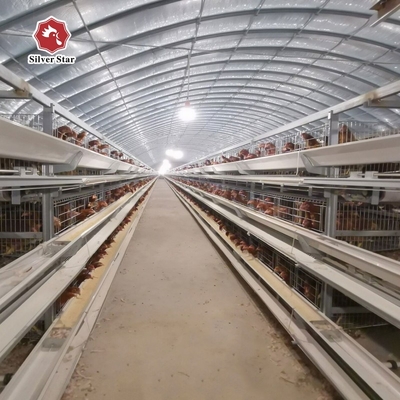 Automatic System H Type Battery Layer Egg Hens Chicken Poultry Cage