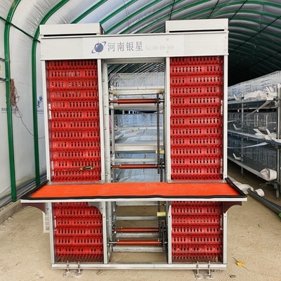 Hot Dip Galvanized Steel Fully Automatic Vertical H Type Multitier Chicken Egg Laying Cage