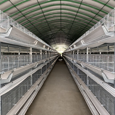 H Type Layer Chicken Cage Hot Dipped Galvanised Chicken Farm