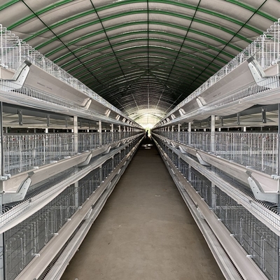Layer Chicken Farming Automated H Frame Type Battery 3 Tiers 4 Tiers Laying Hen Cage