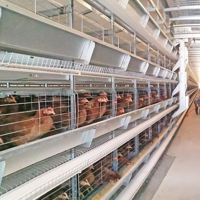 Q235 Steel Mire Battery Layer Chicken Cage Breeding Hens Cage