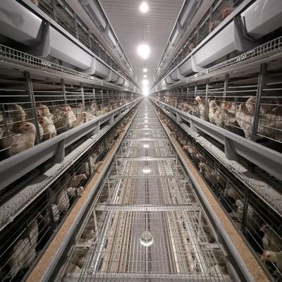 Chicken Closed House Battery Cage System Automatic Poultry Equipment in Tanzania
