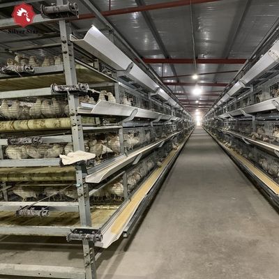 Automated H-Type Meat Broiler Cage System - Hot-Dip Galvanized High-Density Commercial Poultry Farming Equipment