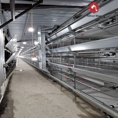 H Type Meat Chicken Cage System for High Density Broiler Farming