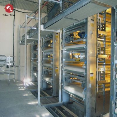 Automated H-Type Meat Broiler Cage System | High-Density Commercial Poultry Equipment