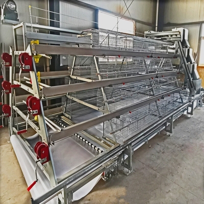 Meat Broiler Chicken Cages With Automatic Poultry Feeding