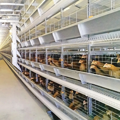 H Type Automatic Battery Layer Chicken Cages 6Tiers Poultry Farm Equipment