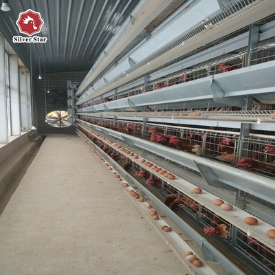 Poultry Battery Chicken Cage For Layers And 120 Layers 10 Tiers