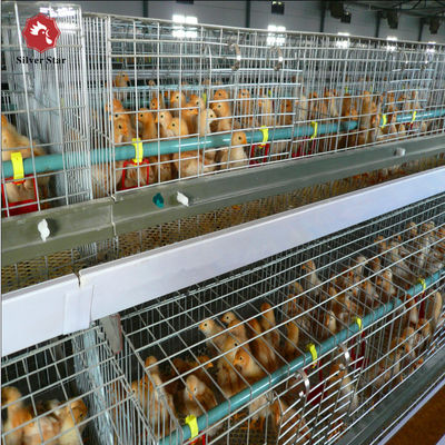 Multi-Level H Frame Broiler Housing Cage Durable Galvanized Steel Poultry Equipment for Commercial Grow-out Farms