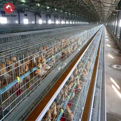 H Type Complete Automatic Broiler Chicken Cage 4 Tiers