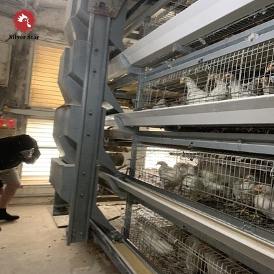 Poultry Equipment Chicken Battery Cages H Type 4 Tiers For Layers