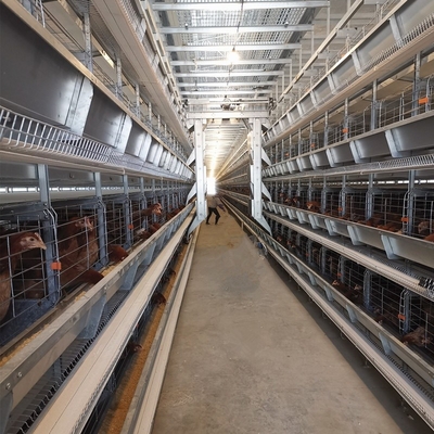 H Type Galvanized Layer Battery Chicken Cages For 10000 Birds Poultry In Ethiopia