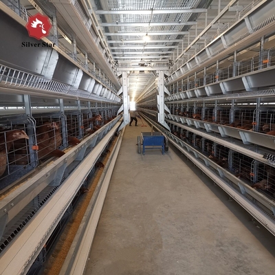 Automatic H Type Chicken Egg Layer Cage 20000 Birds Poultry Farming Equipment