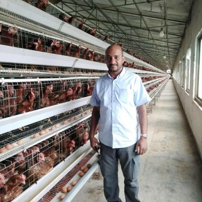 Automatic Egg Chicken Layer Battery Cages For Ghana Farm 43 * 41 * 41cm