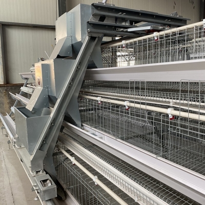 1.2mm Automatic Poultry Feeding System Q235 Hot Dipped Galvanized Sheet