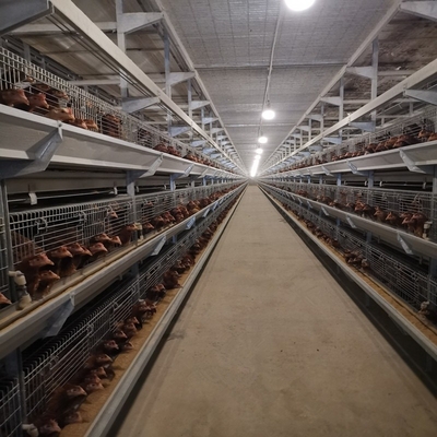 Poultry Farming Fully Automatic Battery System Chicken Cages H Type Egg Chicken Layer Cages