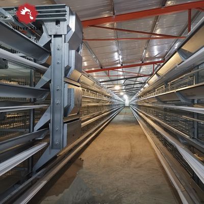 Industrial Grade H-Type Layer Battery Cages with Overseas Engineering Support