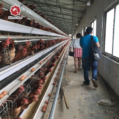 3 Tiers 96 Birds Layer Poultry Farm Battery Chicken Cage A Type With Automatic Nipple Drinker
