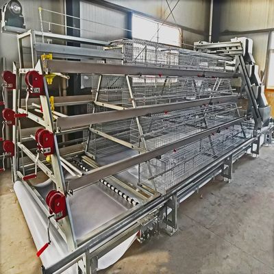 Automated H-Type Broiler Battery Cage System with Hot-Dip Galvanized Steel for High-Density Poultry Farming