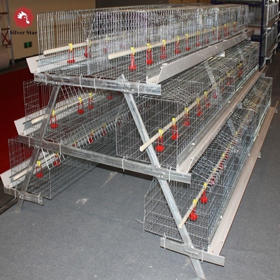 Long Time A Type Farm Chicken Battery Cages For Layers Double Cold Galvanized