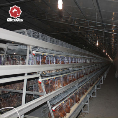 3-Tier / 4-Tier A-Type Layer Chicken Cage with Automatic Feeding & Egg Collection | Hot-Dip Galvanized Steel for Long Service Life