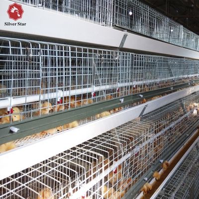 Fully Automatic H-Type Broiler Cage System with Hot-Dip Galvanized Steel for High-Density Poultry Farming