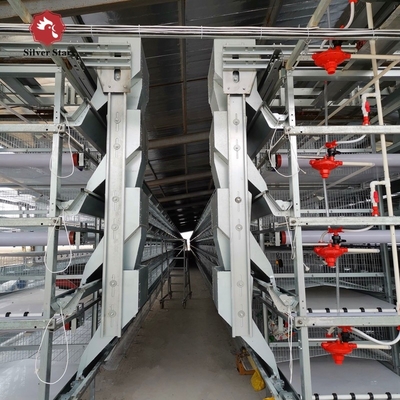 Layer Poultry Battery Cage With Belt Or Scraper Manure Removal System