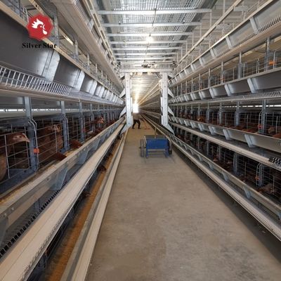 H-Type Automatic Layer Battery Cage System with 15-20 Years Service Life, Hot-Dip Galvanized & Fully Automated for Commercial Poultry Farming