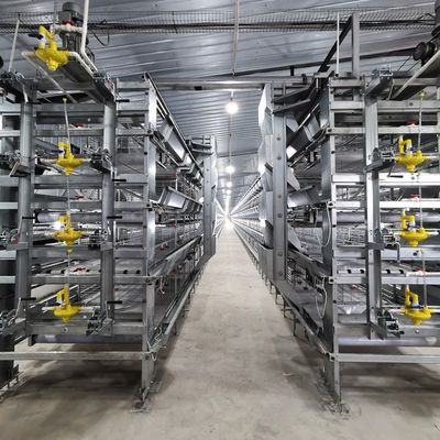 H-Type Automatic Layer Battery Cage System with 15-20 Years Service Life for Commercial Poultry Farming - Fully Automated & Hot-Dip Galvanized