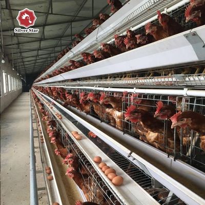A-Type Layer Chicken Cage System with 3-Tier / 4-Tier Design, Automatic Feeding & Egg Collection, Hot-Dip Galvanized Steel for Poultry Farms