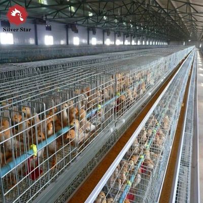 Full Automatic H-Type Broiler Chicken Cage Hot-Dip Galvanized High-Density Poultry Farming Equipment
