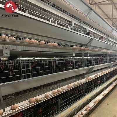 High-Efficiency H-Type Commercial Layer Chicken Cages with Automatic Climate Control
