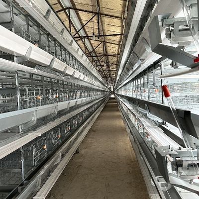 Fully Automatic H-Type Battery Layer Cage System for Commercial Poultry Farms