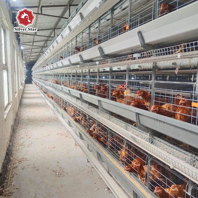 Full Automatic 72 Birds H-Type Poultry Layer Cage Hot-Dip Galvanized Steel Battery Chicken Cage