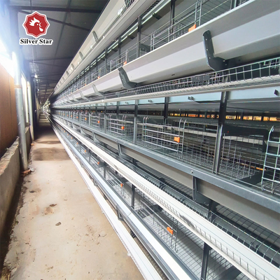 Hot Sale Poultry Farm H Type Chicken Layer Cage With Full Automatic System
