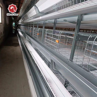 H-Type Battery Cage System with Hot-Dip Galvanized Frame Automatic Feeding Trough Stackable Modular Design for Commercial Poultry Farms