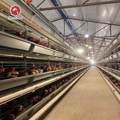 Hot Dip Galvanized Steel High Capacity Poultry Automatic Feeding & Drinking System for Layer Chicken Cage