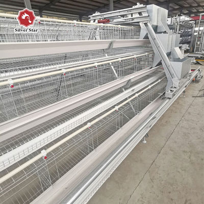 A-Type Layer Chicken Cage with Hot Dip Galvanized Steel and Automatic Feeding for 3 or 4 Tier Poultry Equipment