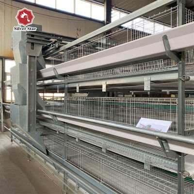 H-Type Automatic Battery Cage System for Layer & Broiler | Factory Direct