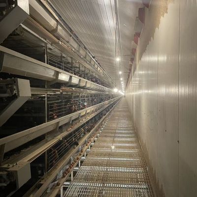 H-Type Layer Battery Cage Hot-Dip Galvanized Full Automation High-Density Breeding Poultry Farming Equipment