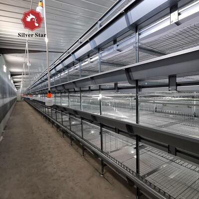 Hot-Dip Galvanized Steel Battery Layer Cages with Full Automatic System for Large Poultry Farm Project