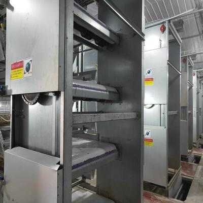 High-Density H-Type Automatic Layer Battery Cages | 3-8 Tiers Turnkey Poultry Farm Equipment