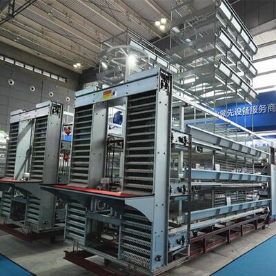 H-Type Automatic Broiler Battery Cage System with Hot Dip Galvanizing and Stackable Modular Design for Commercial Meat Chicken Farms