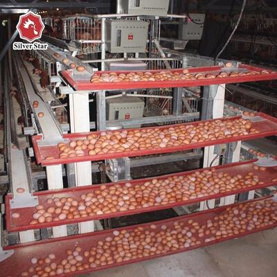 A-Type Layer Chicken Cage System with 3-Tier / 4-Tier Design, Automatic Feeding & Egg Collection, and Hot-Dip Galvanized Steel Construction
