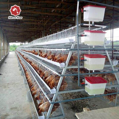 A-Type Layer Chicken Cage with Hot Dip Galvanized Steel and Automatic Feeding for 3 or 4 Tier Poultry Equipment