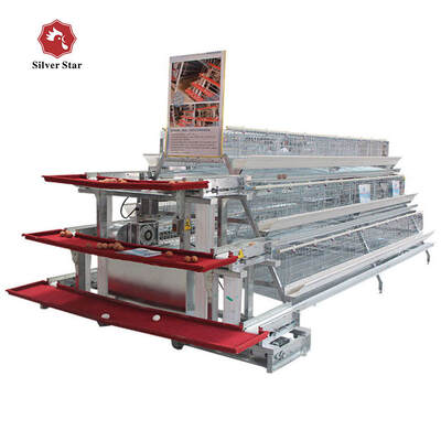 A-Type Layer Chicken Cage with Hot Dip Galvanized Steel and Automatic Feeding for 3 or 4 Tier Poultry Equipment