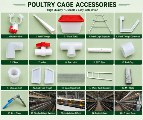 Hot-Dip Galvanized Battery Chicken Cage Fully Automated IoT-Controlled with Medical-Grade Disease Prevention for Poultry Farming Equipment