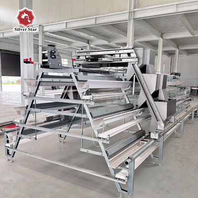 A-Type Layer Chicken Cage System | Commercial Laying Hen Cage for Poultry Farms