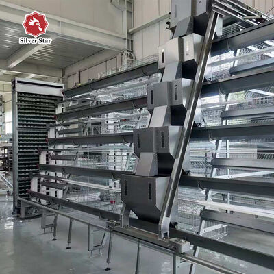 Hot-Dip Galvanized A-Type Broiler Chicken Cage with Automatic Manure Removal and High Density for Poultry Farm